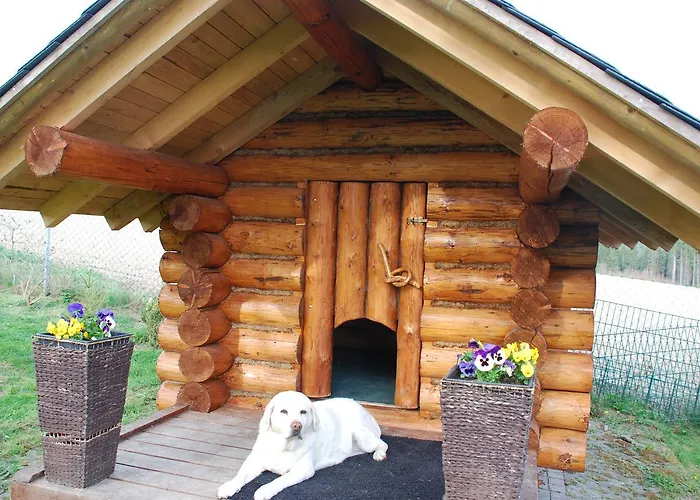 Отель Alpenhof Markneukirchen